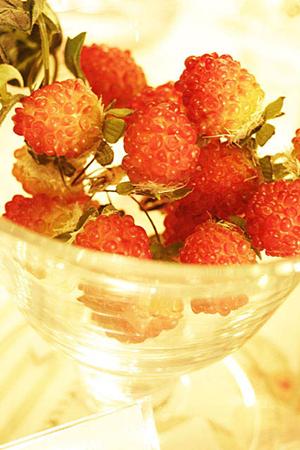 ピンクダイヤの結婚指輪も購入できます