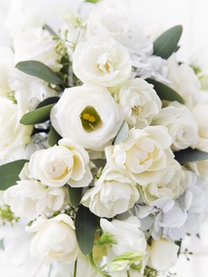 表参道にある結婚相談所がお勧め出来ます