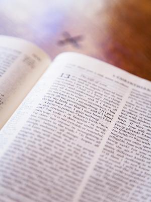 高知店で選ぶ最高の婚約指輪と結婚指輪